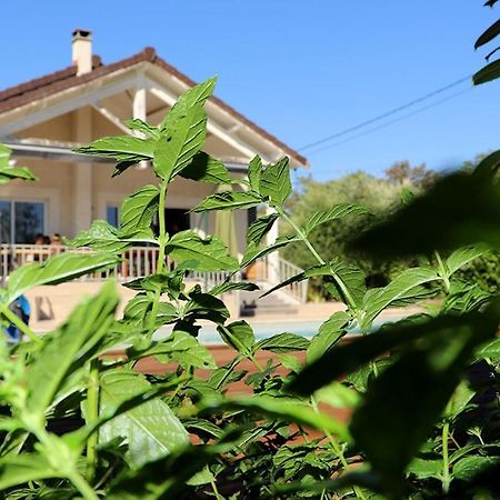 Maison Les Coquelicots Лион Екстериор снимка