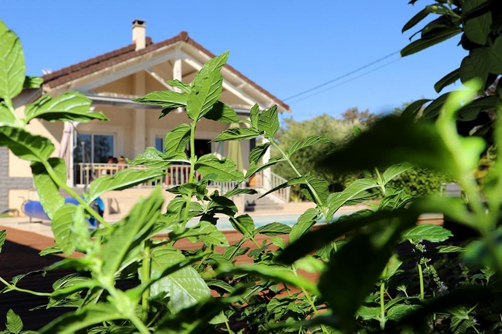 Maison Les Coquelicots Лион Екстериор снимка